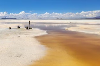 Lithium lies in the underground brine beneath this salt flat.