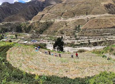 Local food producers in Chicani, a village on the outskirts of La Paz, Bolivia.