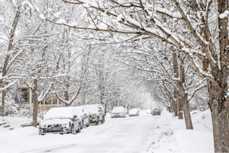 Snow coats the trees and cars in Edwards, Colo., Wednesday, March 22, 2023. The new snow was wet and heavy.