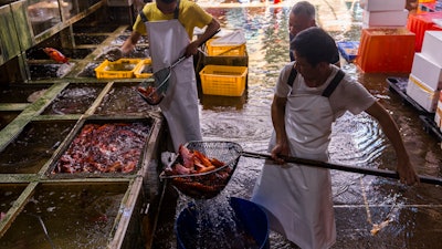 Workers arrange non-Japanese fish at the Aberdeen Wholesale Fish Market, where some wholesalers stopped selling Japanese fishery products following news from Japan on its plan to discharge treated radioactive wastewater into the sea in Hong Kong, Thursday, July 13, 2023.
