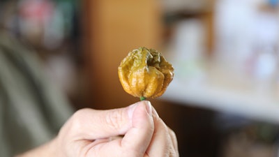 A Pepper X in Fort Mill, S.C., Oct. 10, 2023.