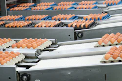 Three-bolt flange mounted bearing units supporting conveyor belt shafts in an egg processing facility.
