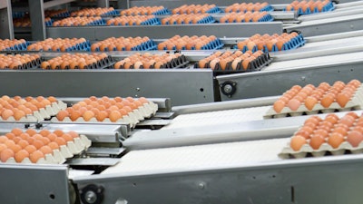 Three-bolt flange mounted bearing units supporting conveyor belt shafts in an egg processing facility.