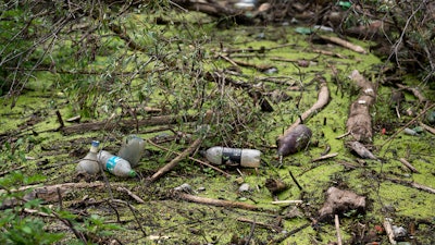 Muddy plastic bottles have flowed downstream and become lodged against fallen trees and within the dense foliage in Tisza River near Tiszaroff, Hungary, Aug. 1, 2023.