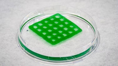 The grid shape of the material helps the bacteria take in carbon dioxide.