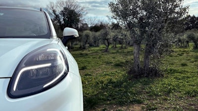 Ford engineers are using olive tree waste to create auto part prototypes.