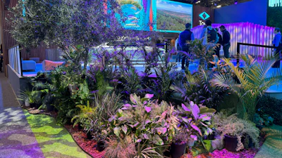 17 Plants