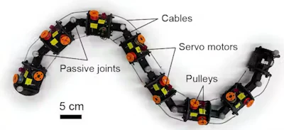 MILLR’s design, inspired by nematode C. elegans.
