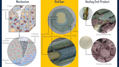 BioFiber’s mechanism and structure.