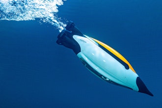 Originally introduced in May 2021, the Quadroin vehicle garnered attention for its distinctive, penguin-like design.