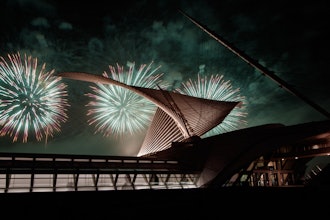 A photograph of fireworks over the Milwaukee Art Museum.