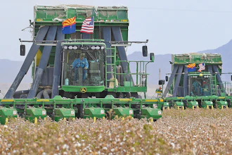 Two John Deere on board module cotton strippers, owned and operated by DVB Harvesting, work their way through a field of cotton on Aug. 21, 2020, in Winterhaven, Ariz.