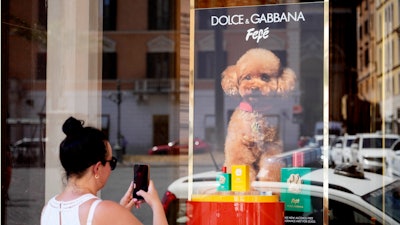The new Dolce and Gabbana dog perfume called 'Fefe' in honor of Domenico Dolce's dog and released earlier this month is displayed on the shop window of the fashion brand boutique in Rome, Tuesday, Aug. 6, 2024.