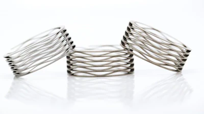 Rotor Clip's InterShim wave spring.