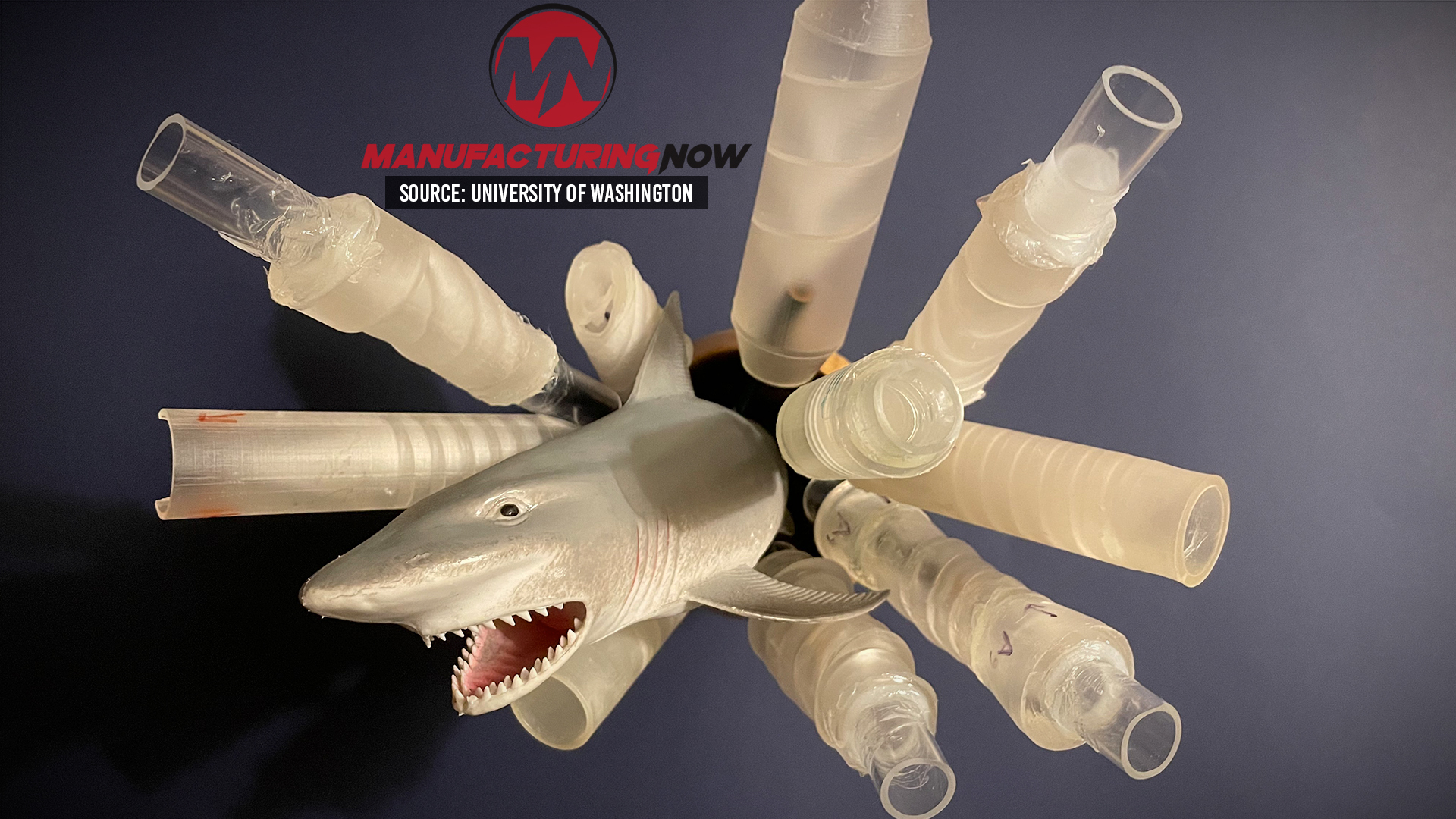 3D-Printed Shark Pipes Beat Out Tesla Valves in One Direction Flow ...