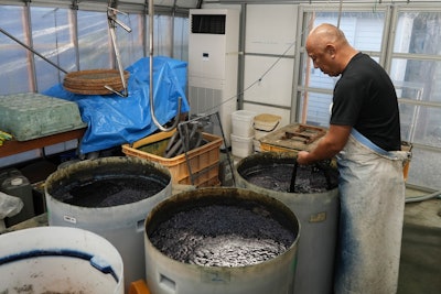 Yoshiharu Okamoto, a dyer at Momotaro Jeans, demonstrates dyeing yarn in indigo for making denim in Kojima, Okayama prefecture, western Japan, on Sept. 4, 2024.