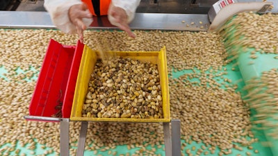 Pistachios are hand sorted at the Wonderful Pistachios & Almonds processing plant, Lost Hills, Calif., Oct. 25, 2024.