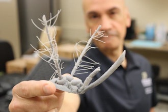 Purdue professor Pablo Zavattieri holds a 3D-printed mosquito head.