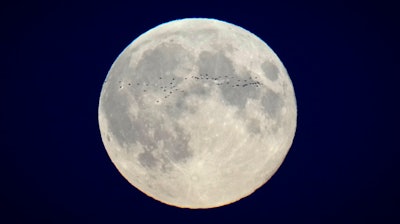 A flock of birds fly in front of the full moon over the city center in Tallinn, Estonia, Oct. 17, 2024.
