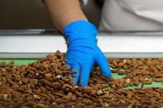 Angelita Delgado sorts through almonds by hand at Stewart and Jasper Orchards, Newman, Calif., March 7, 2025.