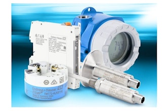 Endress Hauser Sized