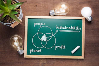 Sustainability Venn diagram on green chalkboard with light bulbs, showing interconnection of people, planet, profit