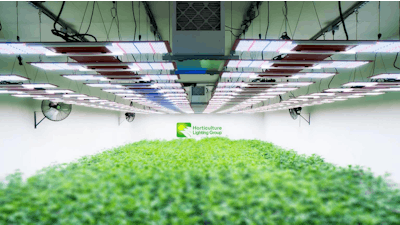 Ien Horticulture Lighting Group For Industrial Media