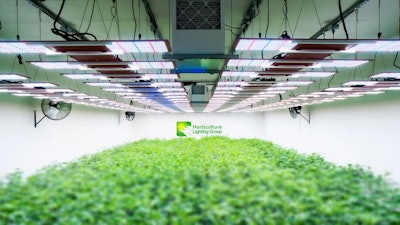 Ien Horticulture Lighting Group For Industrial Media