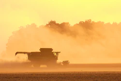 Soybeans are harvested on the Warpup Farm in Warren, Ind., Wednesday, Sept. 17, 2025.