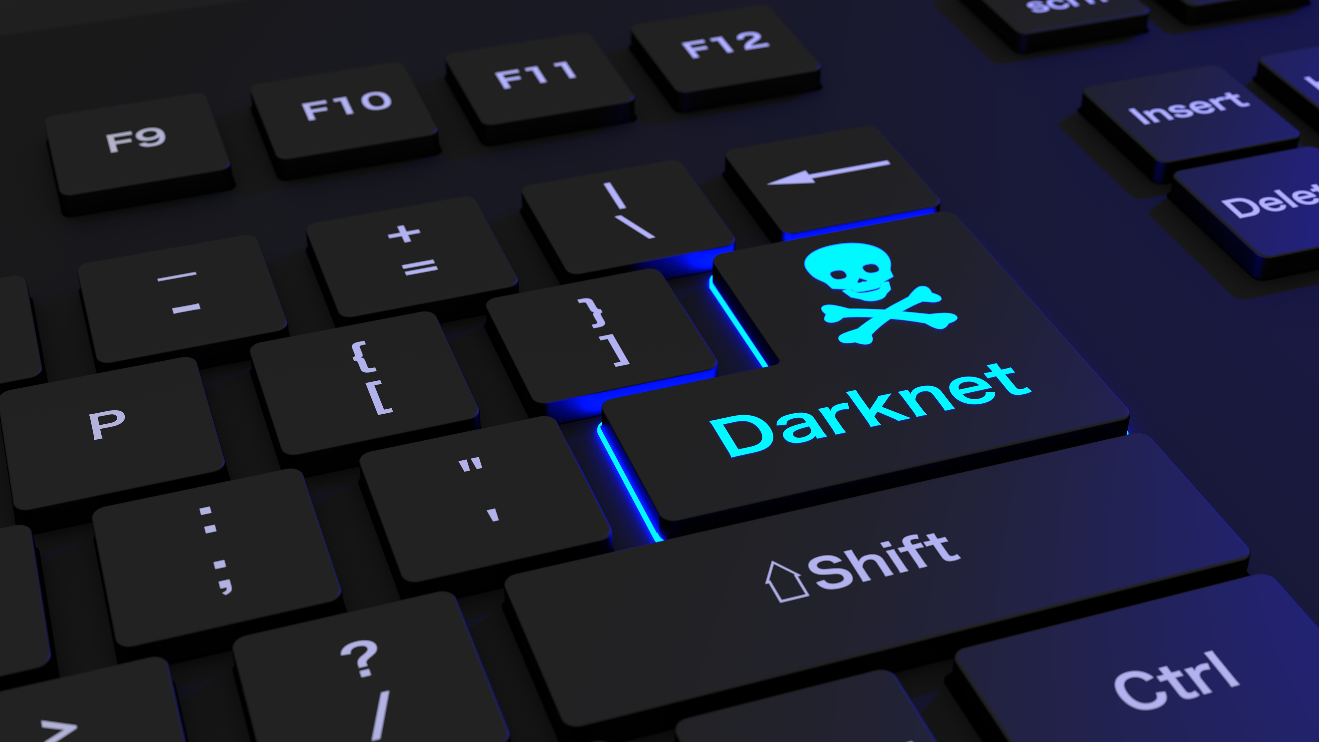 Darknet Bee Bright