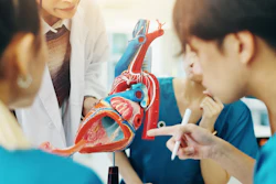 Medical professionals examining an anatomical heart model.