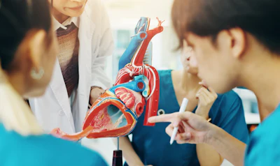Medical professionals examining an anatomical heart model.