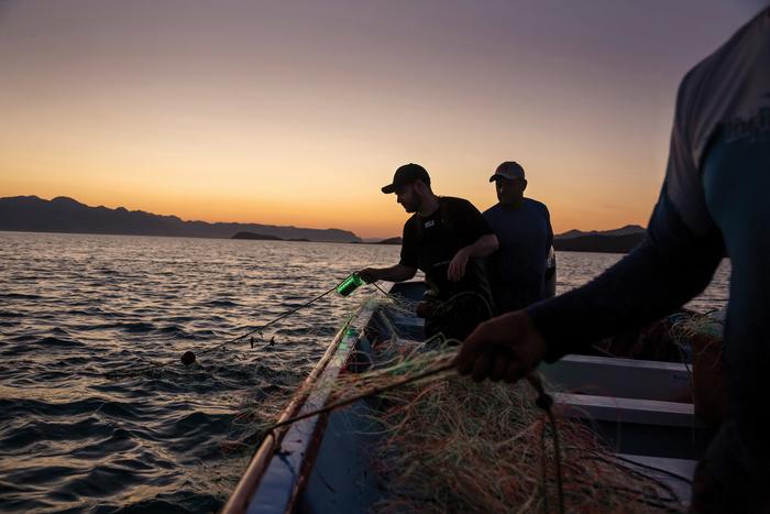 ASU researcher and conservation scientist Jesse Senko, right, deploys a solar-powered illuminated net in the Sea of Cortez.
