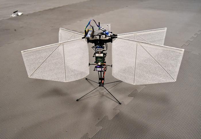 UC Assistant Professor Sameh Eisa and his students developed a moth-like drone that navigates without AI using an extremum-seeking feedback system. Researchers say this system is extremely efficient and can be scaled down to tiny proportions.