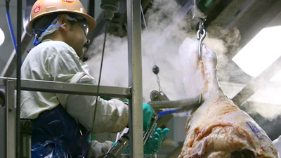 A worker on the line uses a steam vacuum on any incision areas on the carcass during a tour of the Tyson meat packing plant in Lexington, Neb., Wednesday, Nov. 14, 2007.