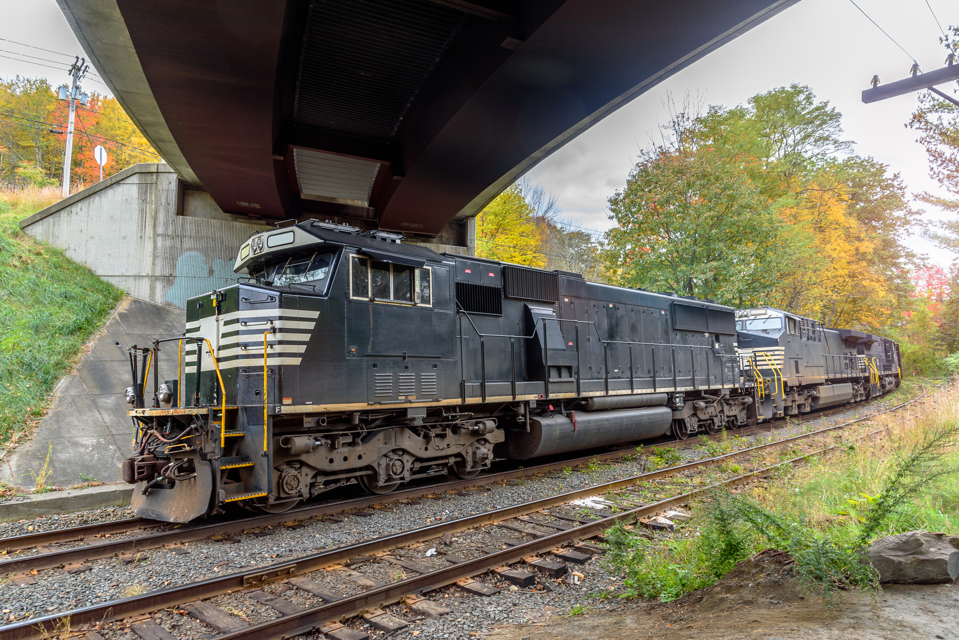 Fright Train