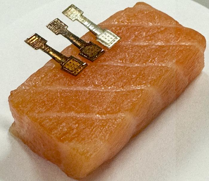 A new sensor determined exactly how fresh a piece of fish was within two minutes.