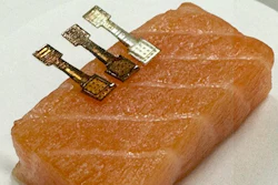 A new sensor determined exactly how fresh a piece of fish was within two minutes.