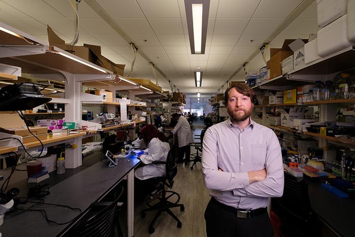 Using artificial intelligence to analyze gait data, the wearable device developed in Philip Gutruf's lab detects frailty, a common condition among the elderly and disabled known to cause falls and lead to hospitalization.