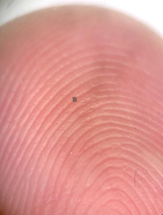A microrobot, fully integrated with sensors and a computer, small enough to balance on the ridge of a fingerprint.