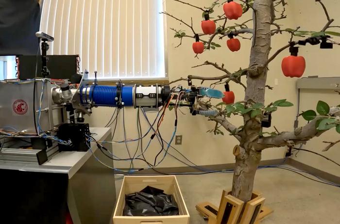 A low-cost, simple robotic apple picker arm developed by WSU researchers.