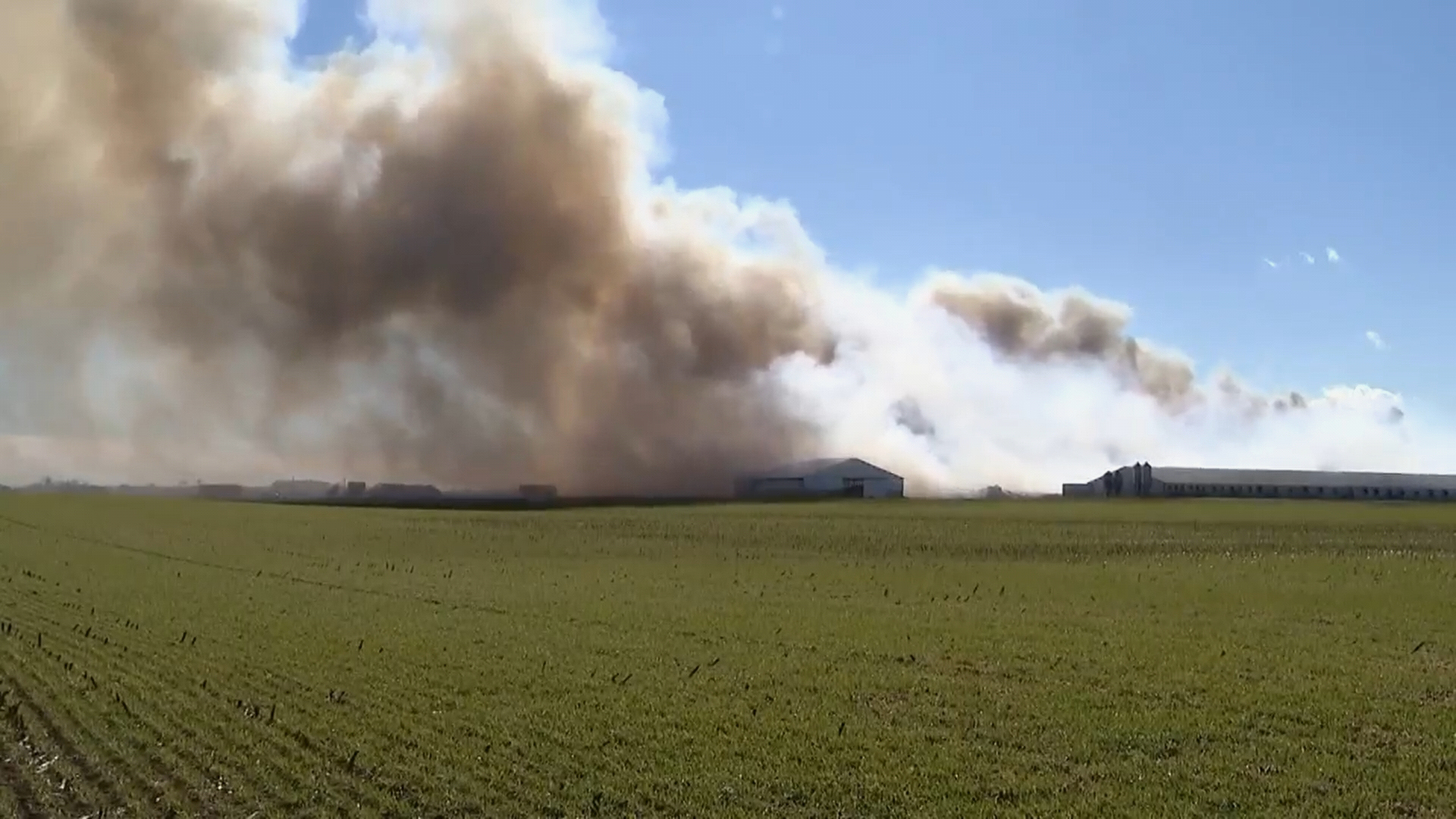 In a grab from video made available by WSYX, smoke rises from a fire at a hog farm complex in Madison County, Ohio, Feb. 25, 2026.