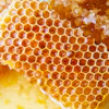Engineers use structures found in nature – like the honeycomb – to create lightweight, sturdy materials.