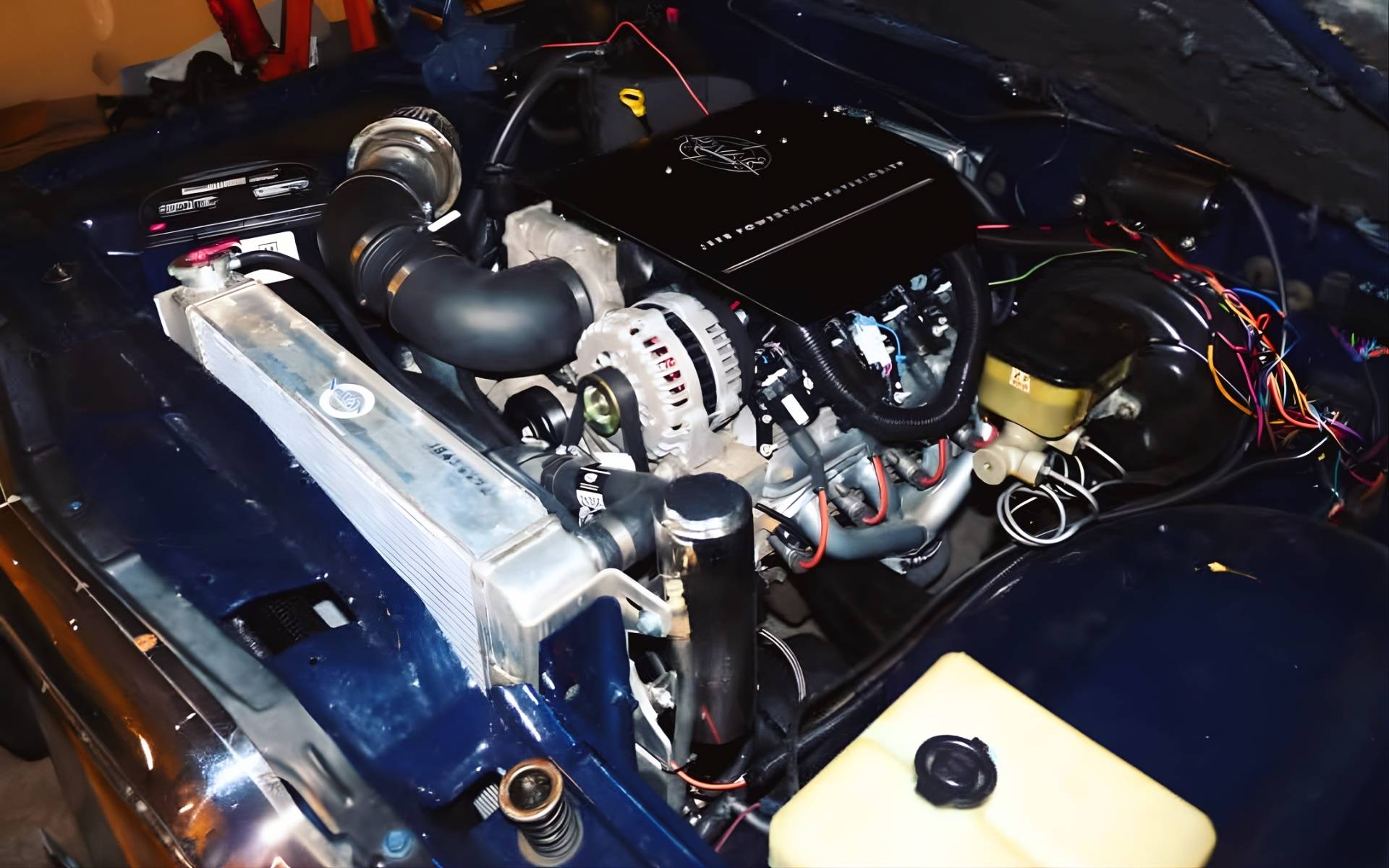 Novak Conversions Case Study