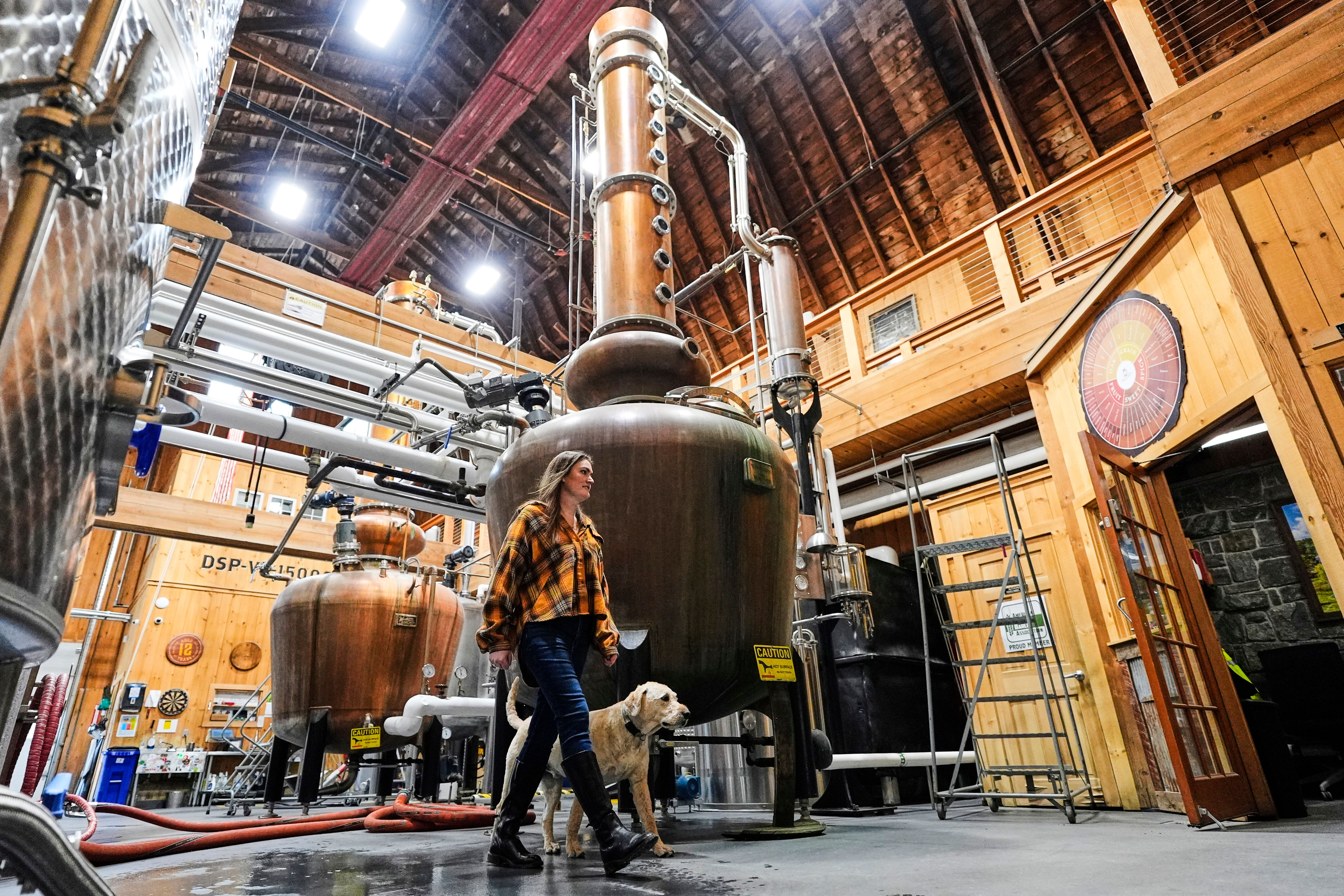 Meghan Ireland and her dog, Murphy, walk by one of the 750-gallon pot and column whiskey stills at the WhistlePig distillery Monday, April 6, 2026, in Shoreham, Vermont.