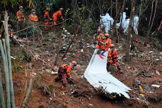 Rescue workers in orange gear search debris in forest during emergency operation