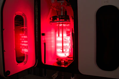 A seaweed bioreactor circulates kelp gametophytes, little seaweed cells, under controlled light and temperature conditions Friday, March 13, 2026, at the Woods Hole Oceanographic Institution in Woods Hole, Mass.