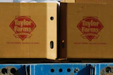 Taylor Farms boxes are loaded on a field in the town of Doctor Mora, Guanajuato, Mexico, March 26, 2008.