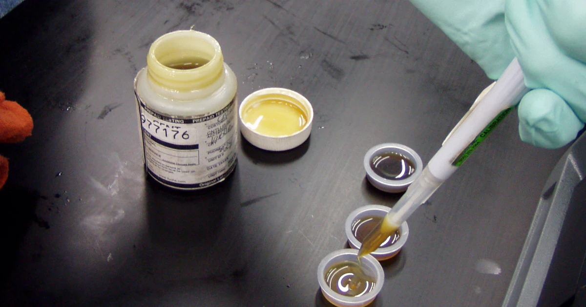 Beyond the Grease Gun: Turning Lubrication Into a Strategic Reliability Advantage