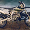 Triumph1